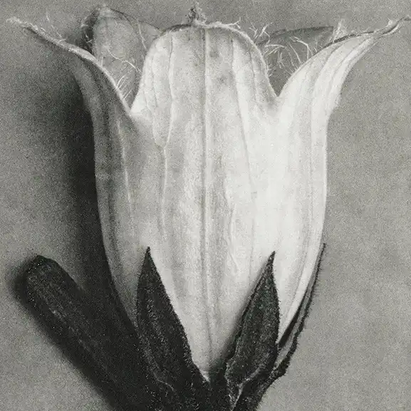 Protected: What Every Young Professional Should Know – Abdel-illah Boukhezer at the University of Cambridge