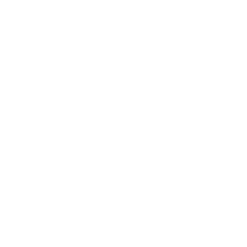 MEA Institute for Strategic Studies